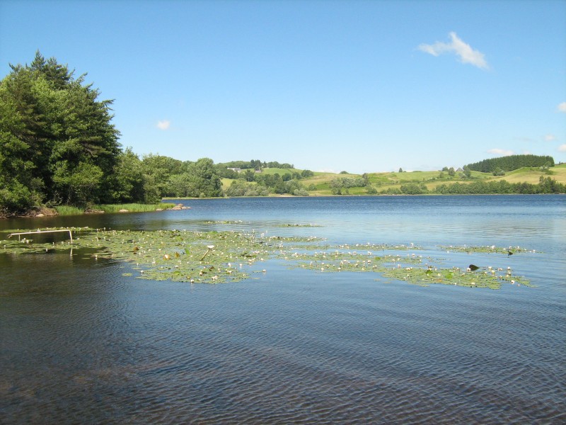 lac cregut