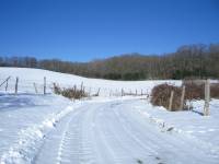 chemin-neigeux