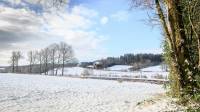 neige