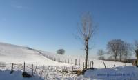 paysage-neigeux