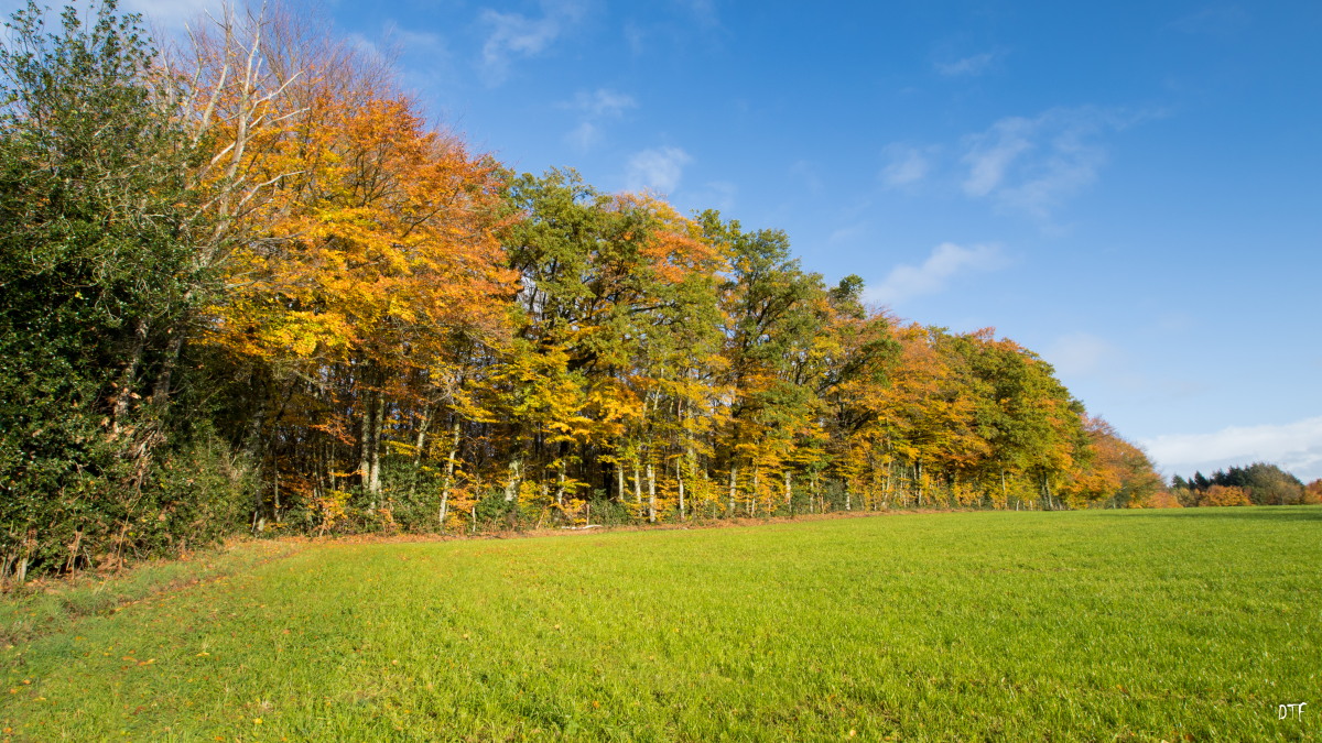 automne