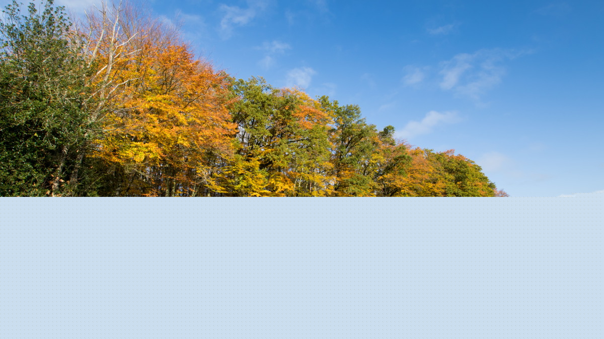 automne