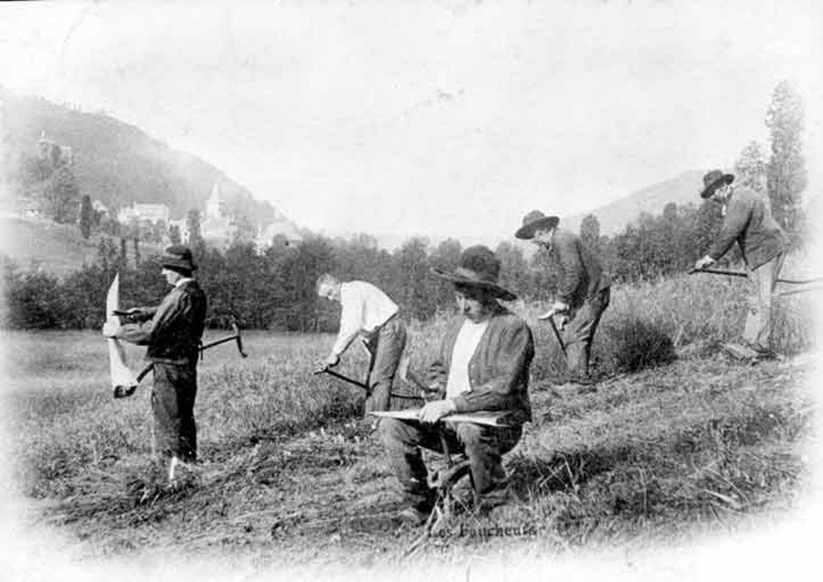 photo faucheurs1899