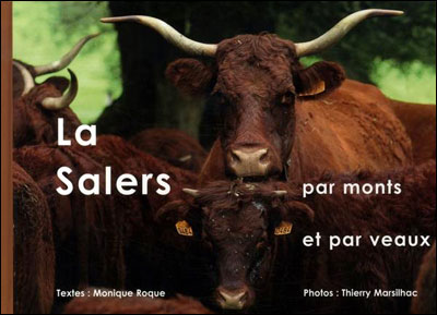 La Salers par monts et par veaux