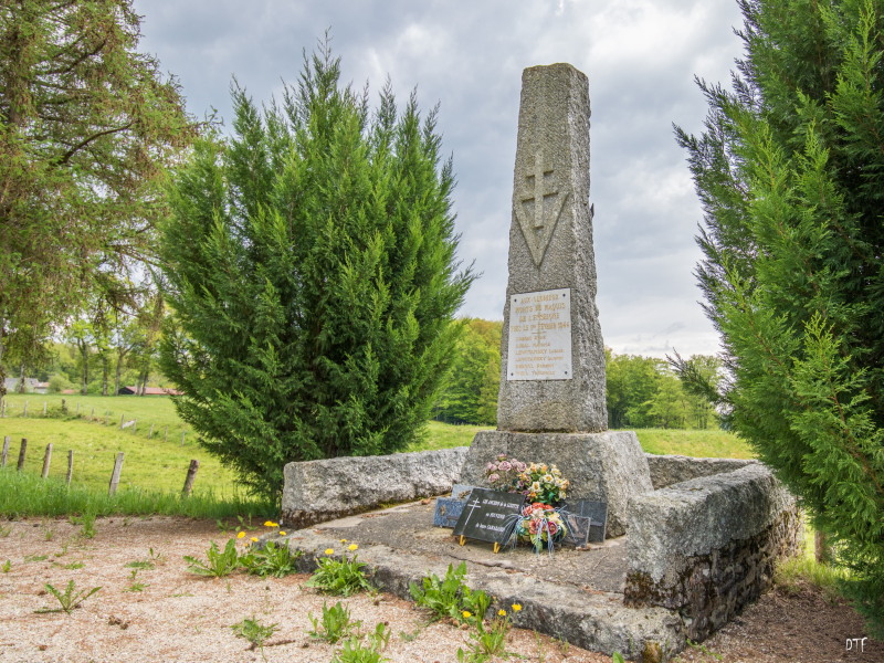 lenseigne stele