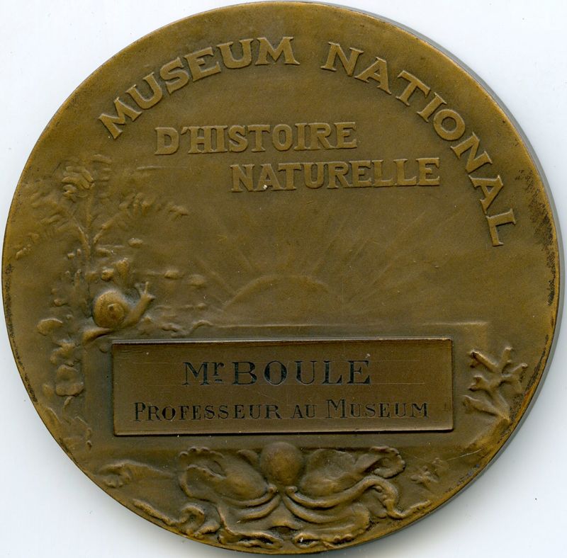 Museum histoire naturelle