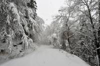 Hiver-Falgoux5