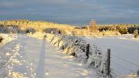 Hiver-La-Feuillade