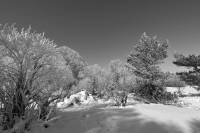 Hiver-St-Urcize
