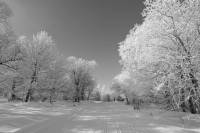Hiver-St-Urcize3