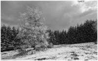 Hiver1