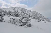 Hiver3