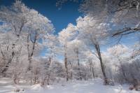 Hiver5