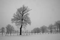 Hiver7