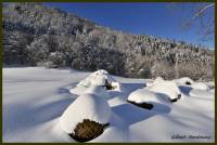 hiver-Falgoux