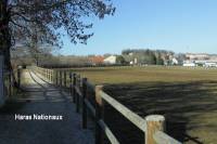 ronde_des_quartiers31