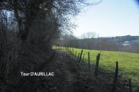 ronde_des_quartiers85