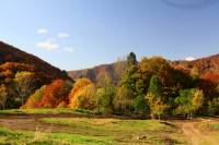 automne_vallee_mandailles3