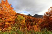 automne_vallee_mandailles4