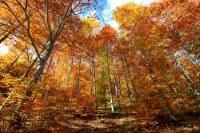 automne_vallee_mandailles5