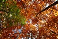 automne_vallee_mandailles6
