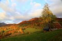 automne_vallee_mandailles7