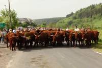 10-estive_allanche_2009