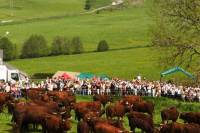 11-estive_allanche_2009