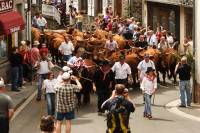 6-estive_allanche_2009