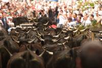 8-estive_allanche_2009