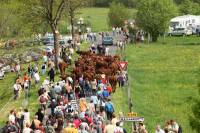 9-estive_allanche_2009