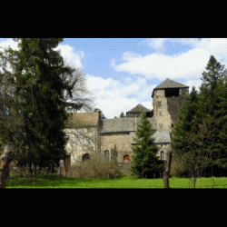 Celles