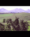 Chalinargues