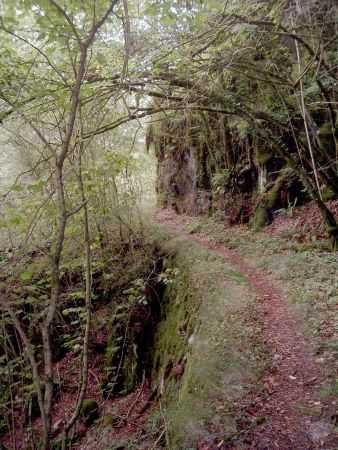 gorges cere sentier forestier