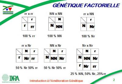 genetique factorielle