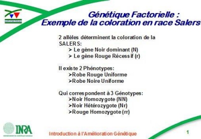 genetique factorielle2