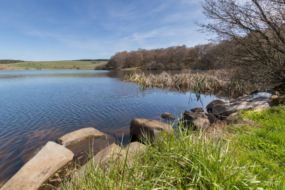 Lac sauvage