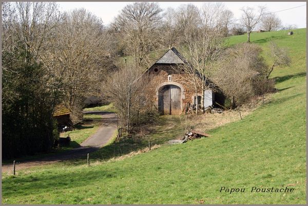 paysage chataigneraie