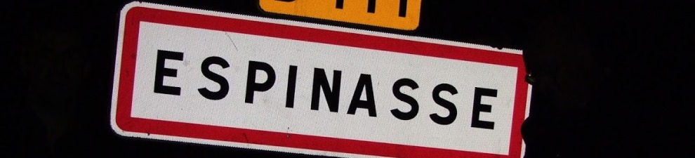 bandeau espinasse