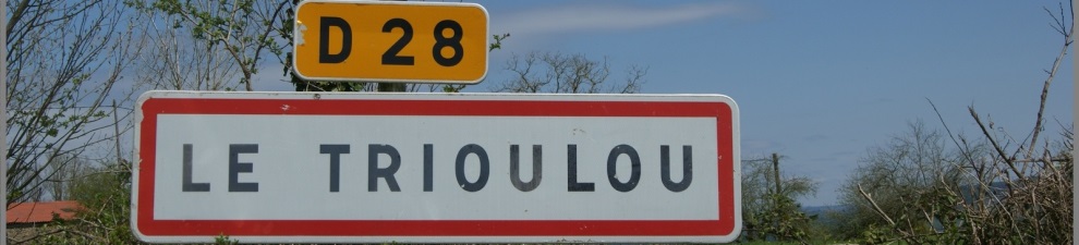 bandeau le trioulou
