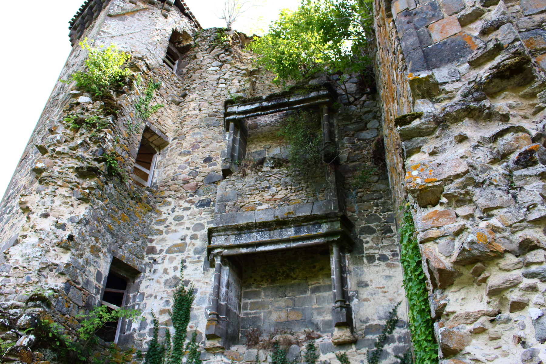 Ruines cheminées