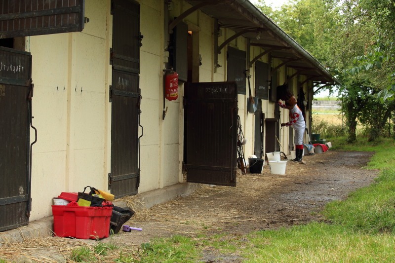 hippodrome box