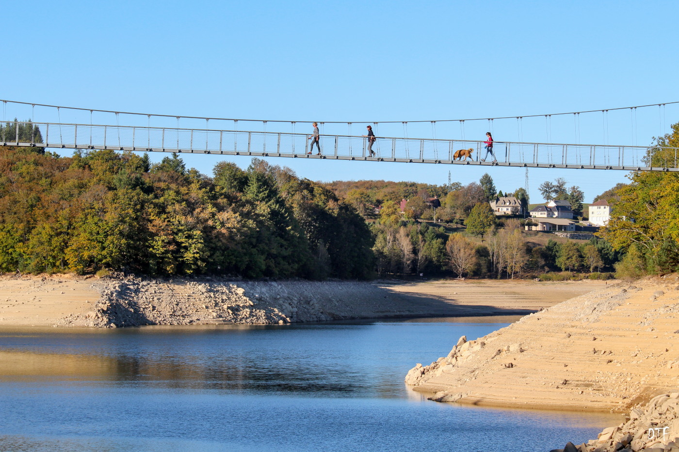 passerelle chien