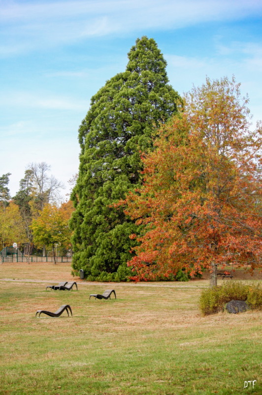 helitas automne