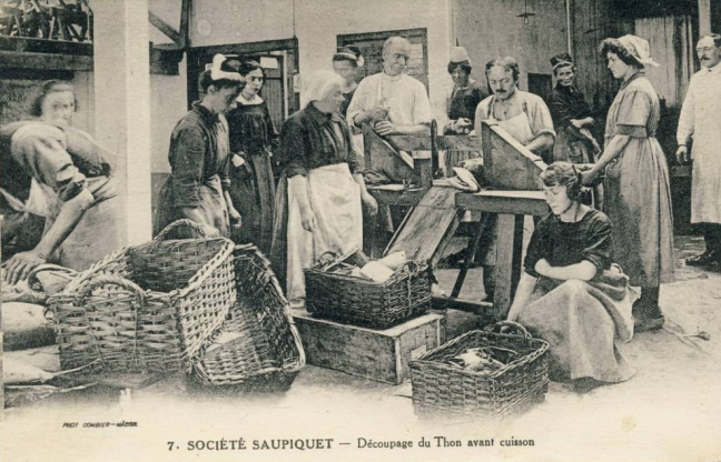 Saupique societe