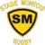 Logo montdemarsan