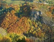 Les sanglots longs des violons de l'automne ...