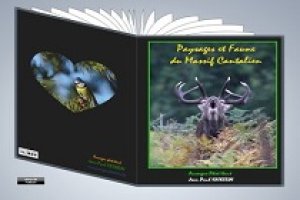 Paysages et faune du Massif Cantalien