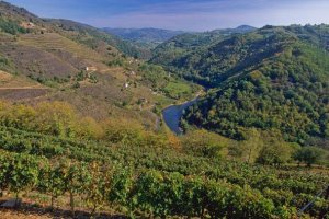 Le GR 465, entre Murat et Conques