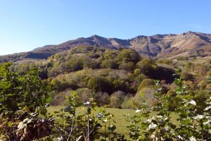 Le Puy Chavaroche